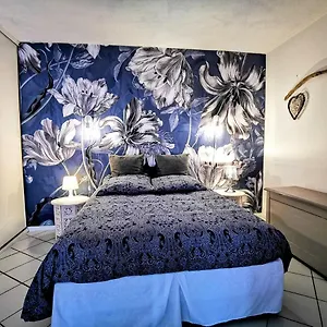 Le Petit Pagnol Appartement Blagnac